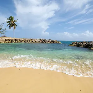 https://jamaica-time-driftwood-at-sea-palms-3br-3ba-condo-in.greaterantilleshotels.net